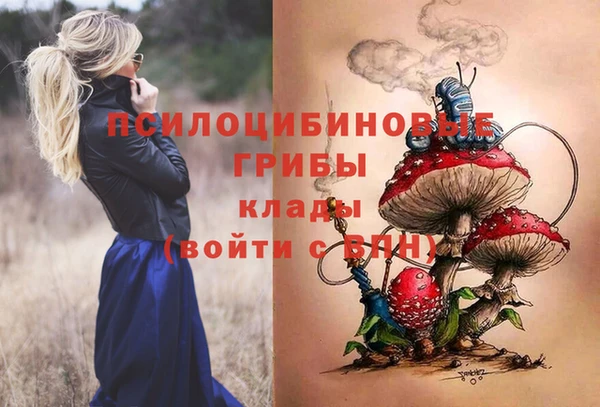 дурь Михайловск